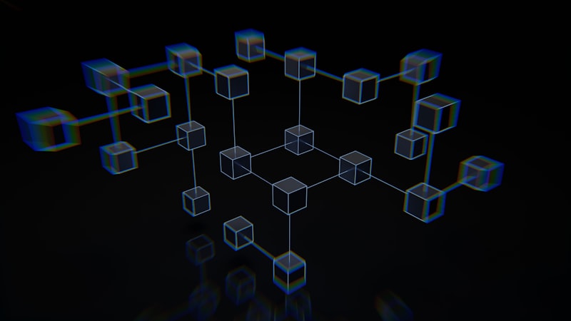 On-chain Transparency